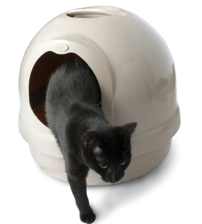 Best Overall Cat Litter Box For Small Spaces