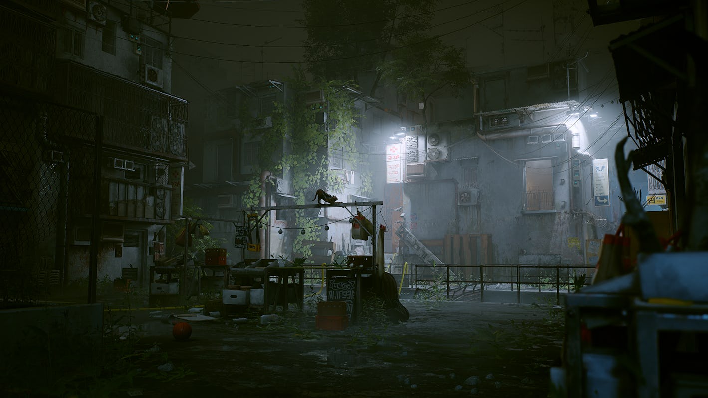 'Stray' game release date, trailer, gameplay, and story on PlayStation