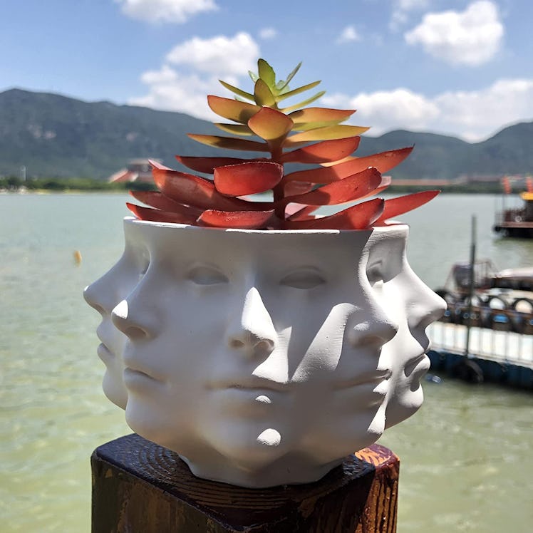 WinDesign Multi-Face Planter