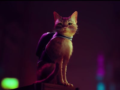 Stray: Release time and preload details for the new cat game
