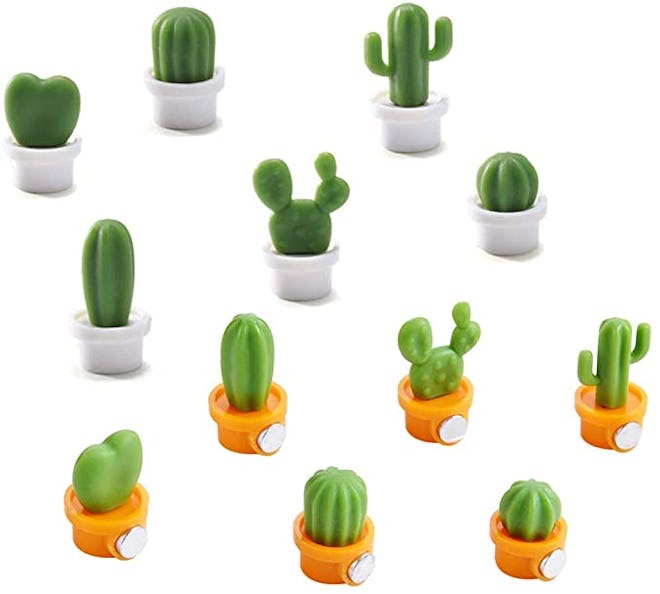 OYEFLY Cute Succulent Plant Magnet (12-Pack)
