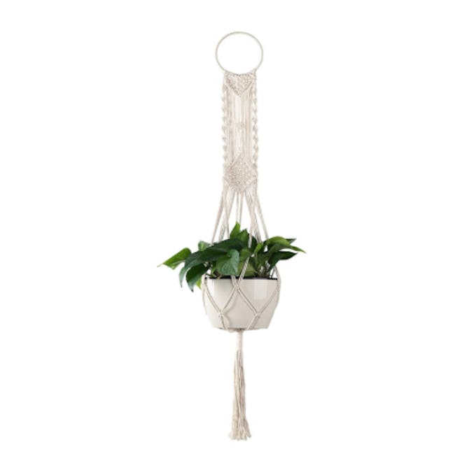 Cuttte Macrame Plant Hanger 