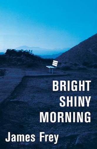 'Bright Shiny Morning' by James Frey