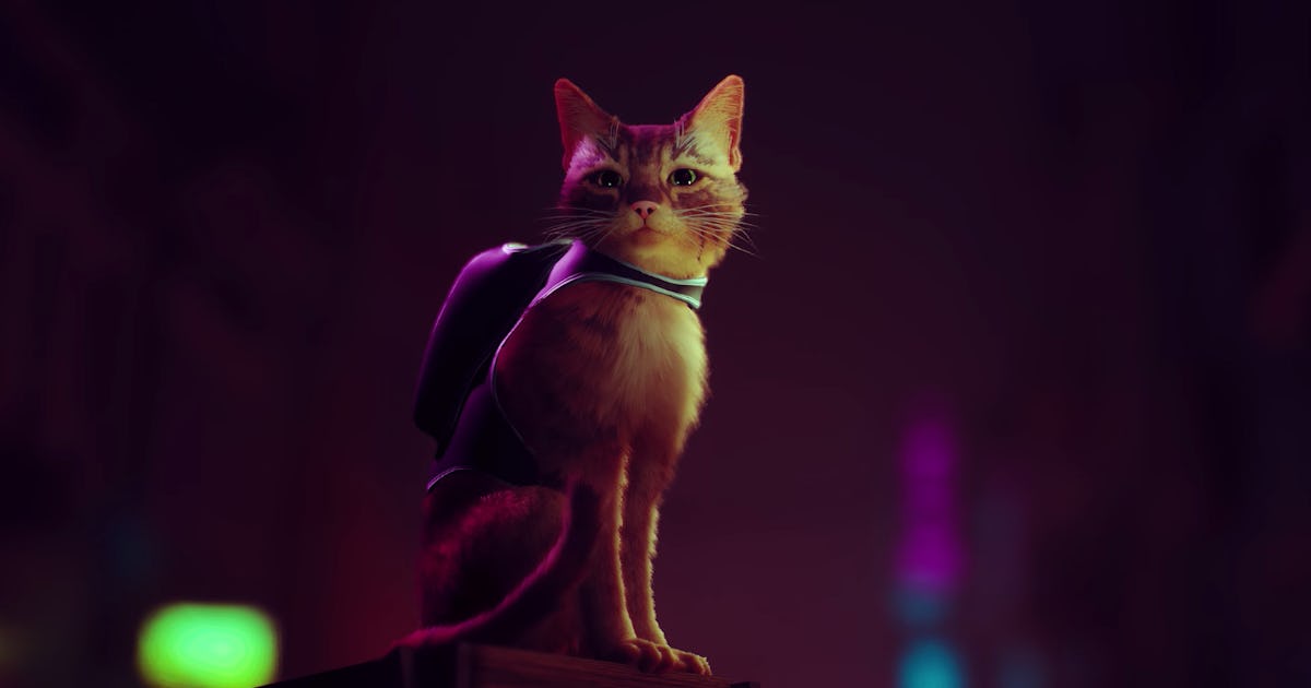 Stray Cat Game Release Date and New Gameplay Trailer