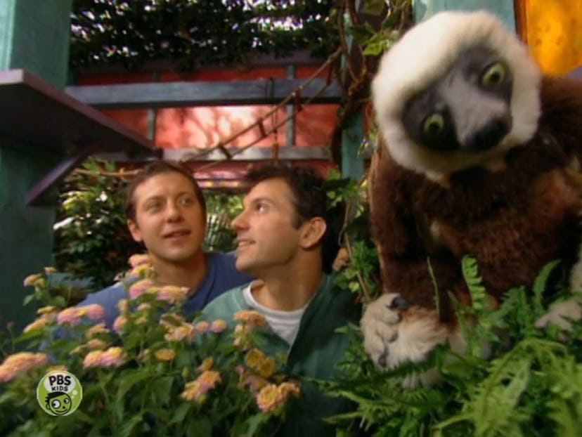 Zoboomafoo first aired on PBS Kids