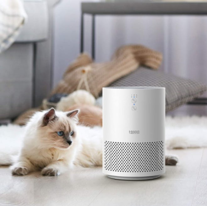 TOPPIN HEPA Air Purifier