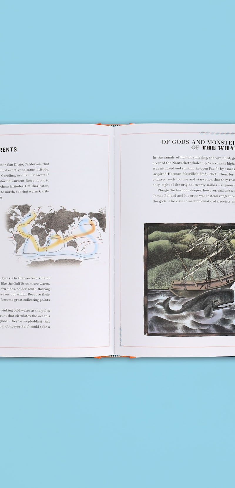A spread from the book The Ocean