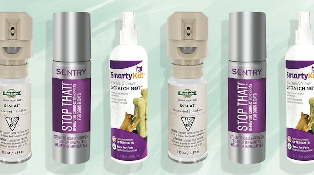 The 4 Best No-Scratch Sprays For Cats