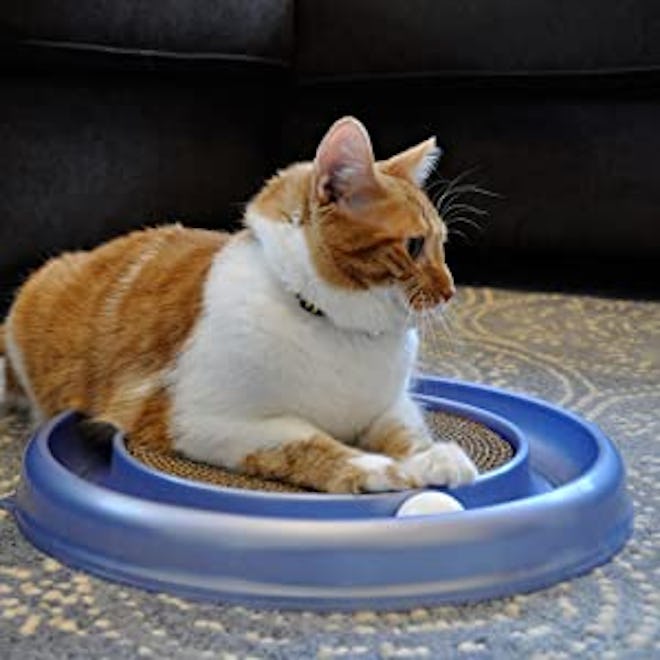 Bergan Turboscratcher Cat Toy