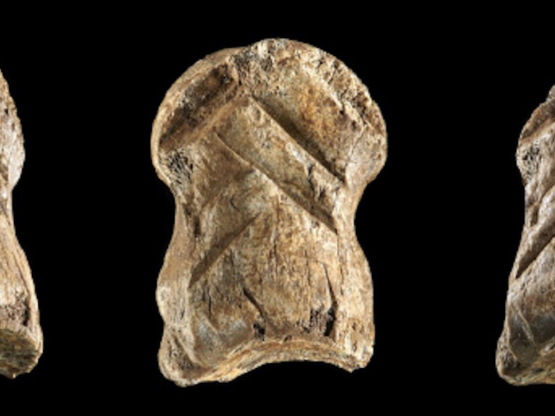 deer bone engraved by neanderthals