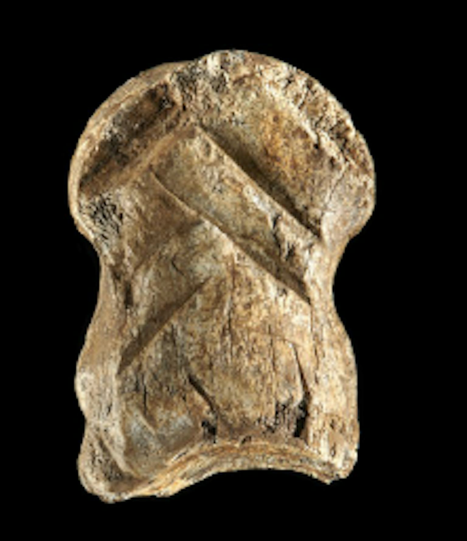 51 000 year old Engraved Bone Reveals New Details About Neanderthal Culture 51-000-year-old-engraved-bone-reveals-new-details-about-neanderthal-culture