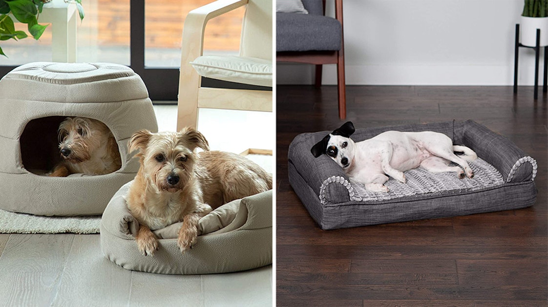 The 12 Best Calming Dog Beds In 2022