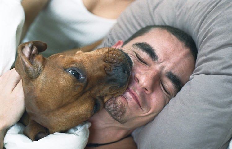 Dog and man sleeping in bed