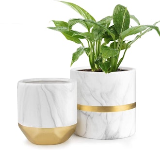 HOMENOTE White Ceramic Flower Pot (2-Pack)