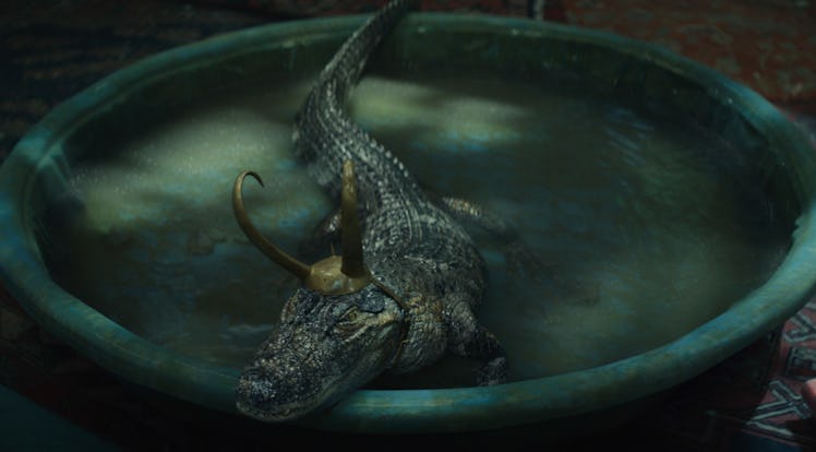 The Alligator Loki in 'Loki' is known as Lokigator to his fans