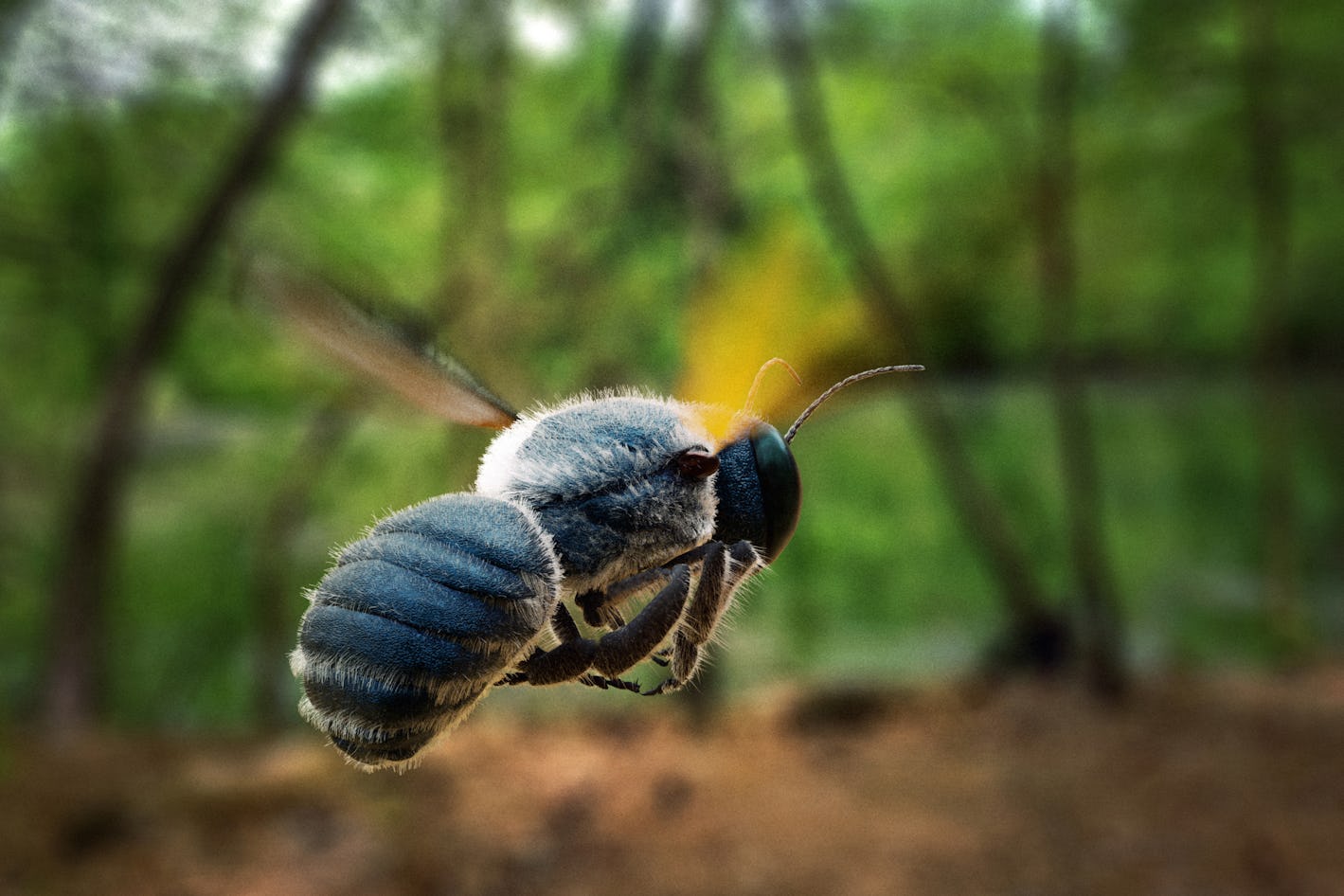 Ancient wings reveal what insects could do before dinosaurs existed