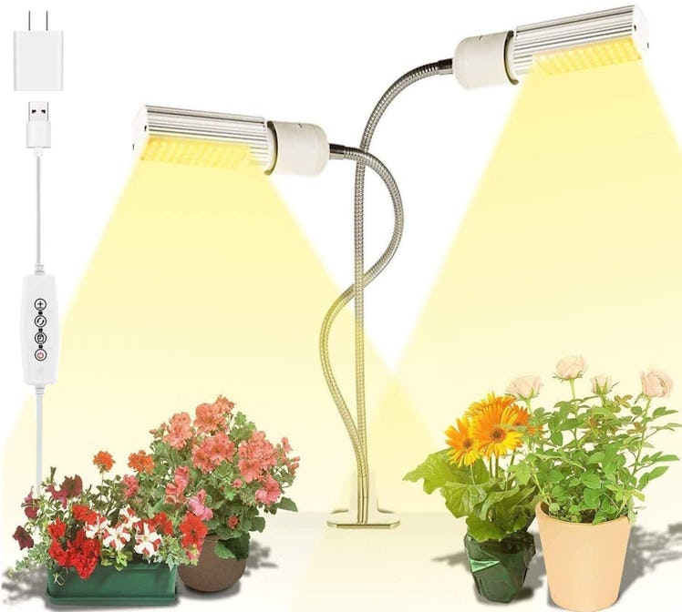 Grow Lights for Indoor Plants