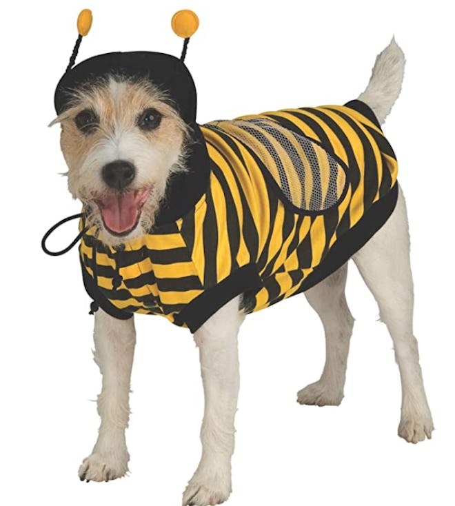 A baby and dog Halloween costume where they both dress up as bees will have you buzzing.