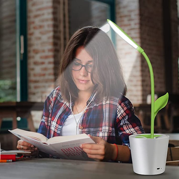 iEGrow Flexible USB LED Desk Lamp