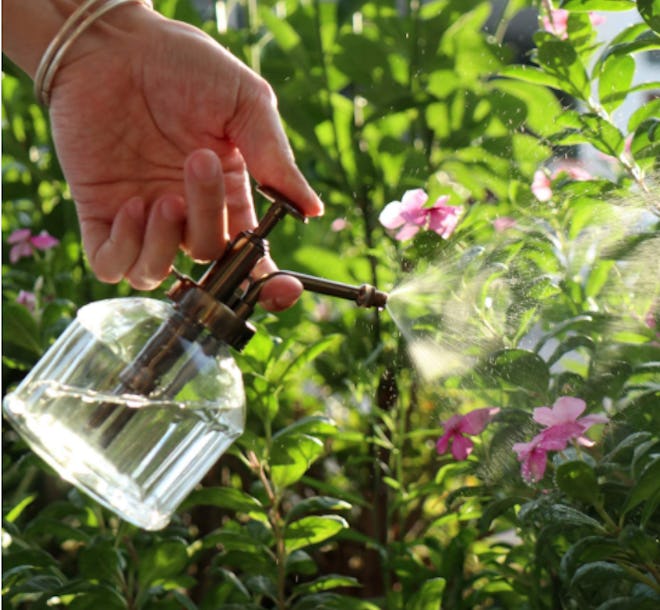 OFFIDIX Glass Watering Spray Bottle