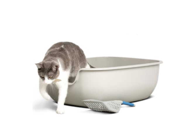 PetFusion Easy Clean Cat Litter Box