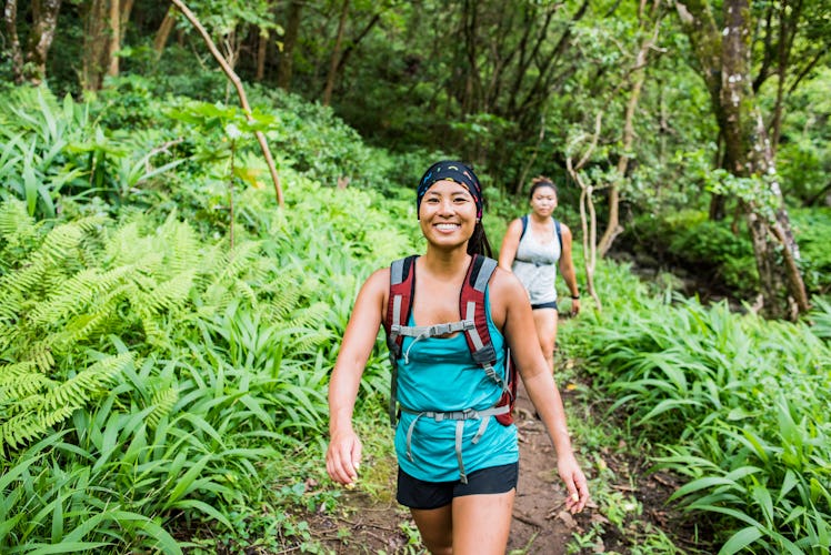 Hikers traveling through the rainforest in Hawaii before posting pics on Instagram with a tropical c...