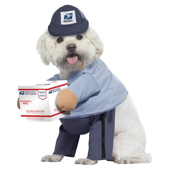 Mail carriers make a cute pair of baby and dog Halloween costumes.