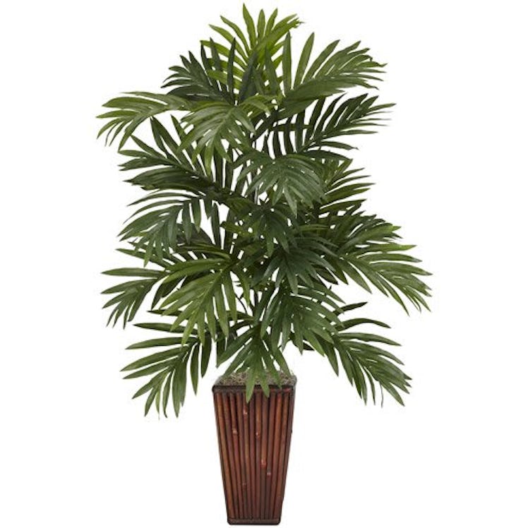 Areca Palm with Bamboo Vase