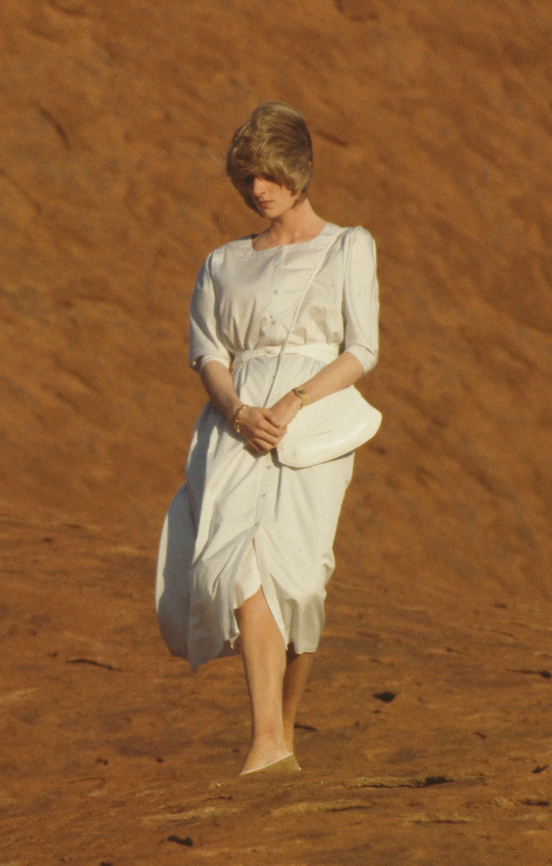 Princess Diana's Dresses Each Told A Story