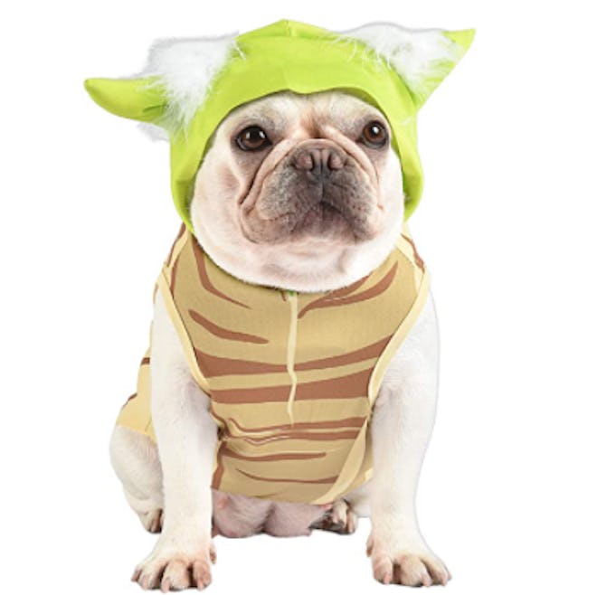 A baby Yoda dog and baby Halloween costume is the cutest idea ever.