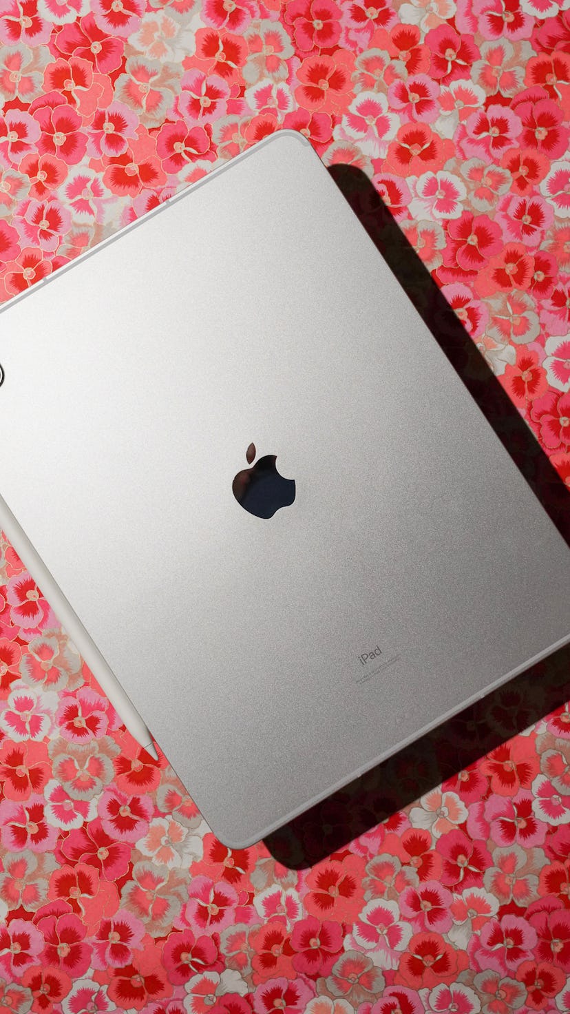 M1 iPad Pro review: The back of the M1 iPad