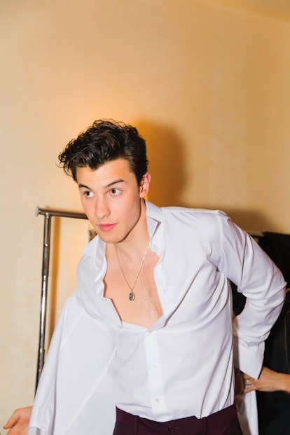 Shirtless Photos of Shawn Mendes Even Give Shawn Mendes Dysmorphia
