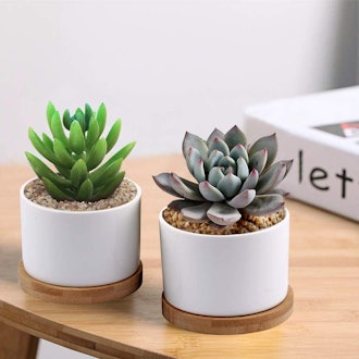 Zoutog Mini Ceramic Succulent Pots (3.15-Inch)