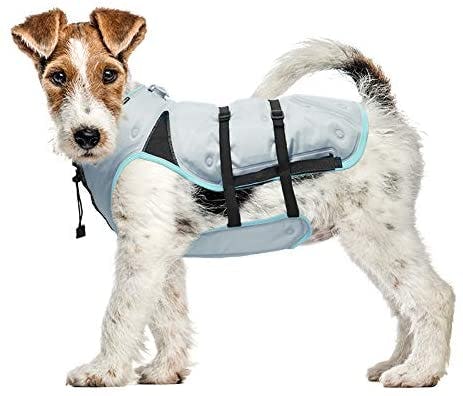 The 13 Best Cooling Vests For Dogs In 2022