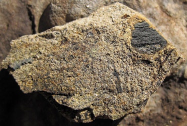 fossil charcoal in rock