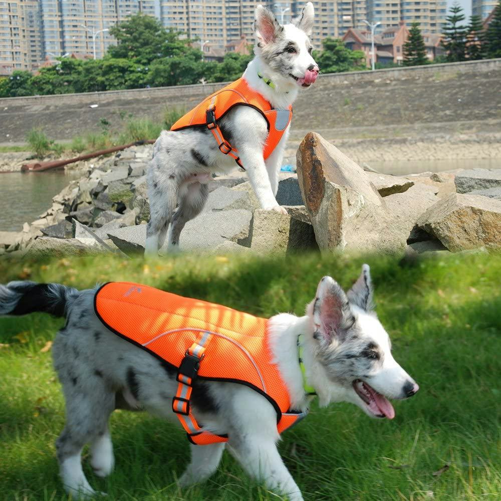 The 13 Best Cooling Vests For Dogs In 2022
