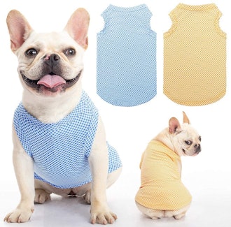 SCENEREAL Dog Cooling Shirt (2-Pack)
