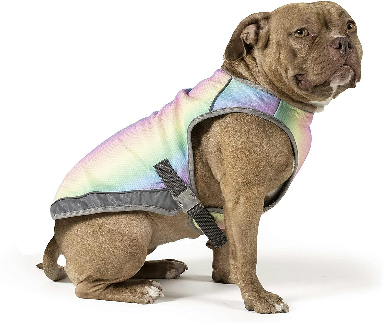 The 13 Best Cooling Vests For Dogs In 2022