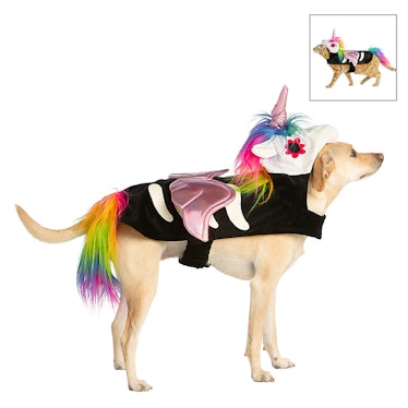 PetSmart's 2021 Halloween costumes include pieces that work for both cats and dogs. 