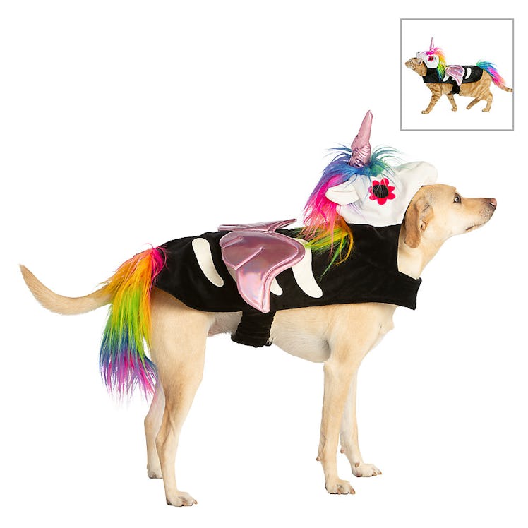 PetSmart's 2021 Halloween costumes include pieces that work for both cats and dogs.