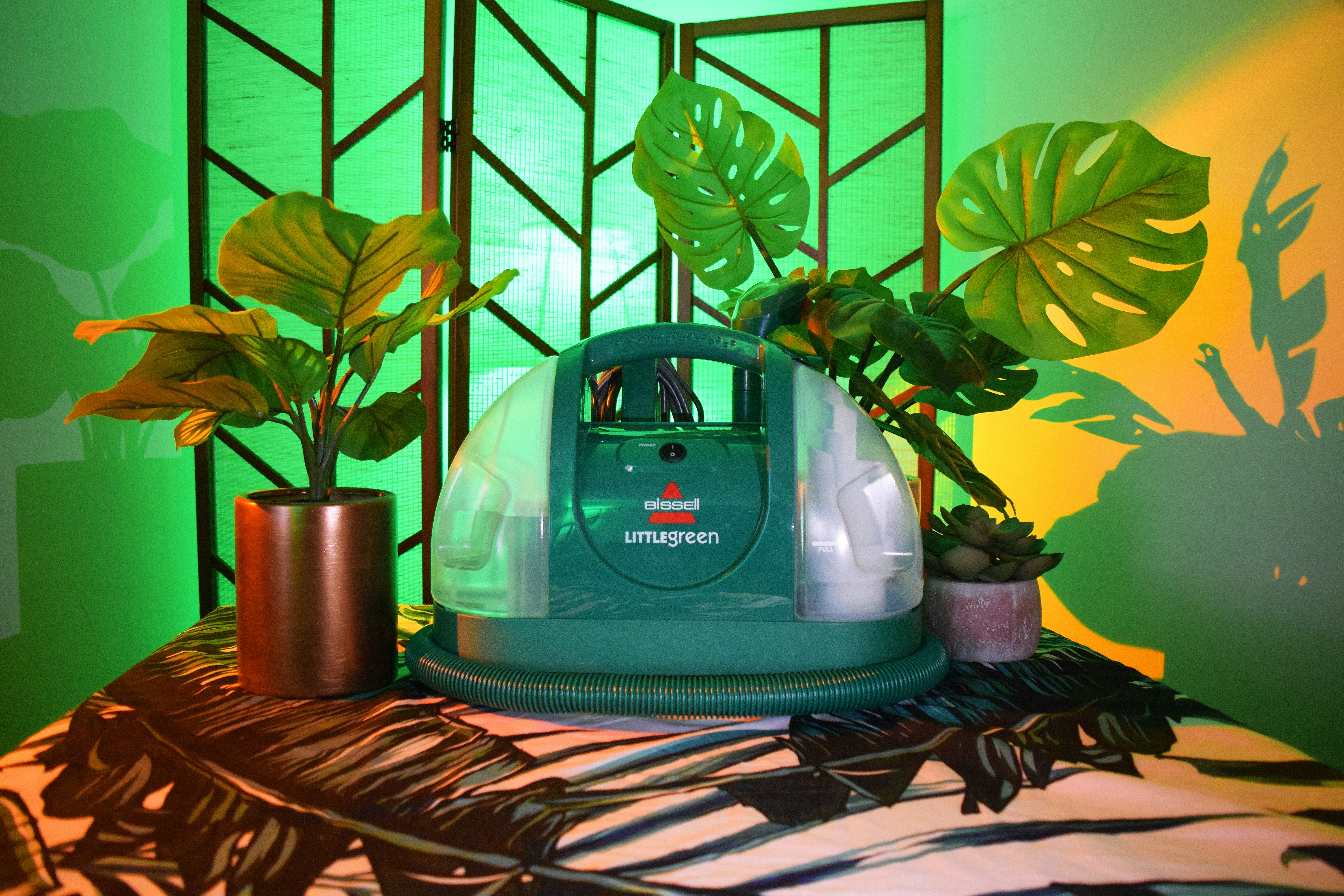 Why is TikTok so obsessed with this viral carpet cleaner?