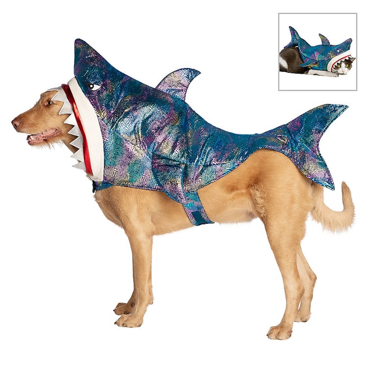 Thrills & Chills Halloween Shark Costume