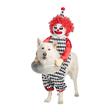 Thrills & Chills Halloween Clown Cat & Dog Costume