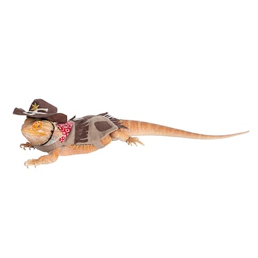 Thrills & Chills Cowboy Reptile Costume
