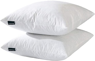 basic home  Decorative Throw Pillow Inserts (2-Pack)