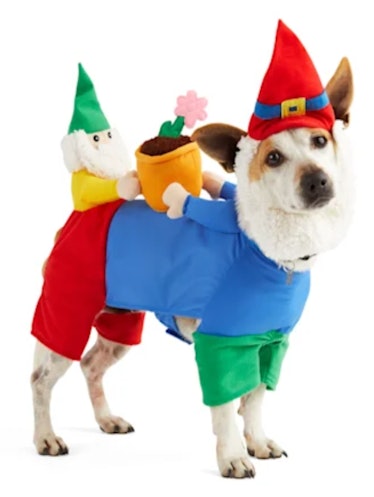 Bootique Gnome Sweet Gnome Dog Illusion Costume