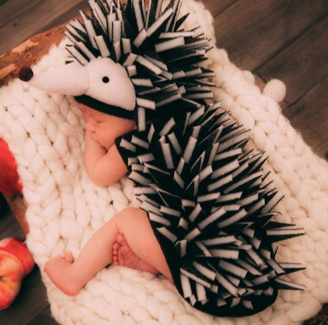 Baby dressed in a hedgehog costume