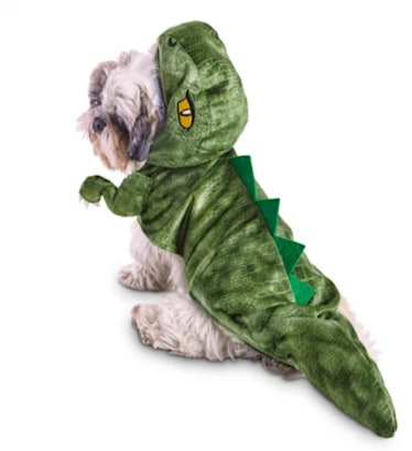 Bootique Dinosaur Roar Pet Costume