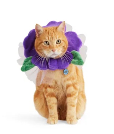 Bootique Flower Power Cat Headpiece