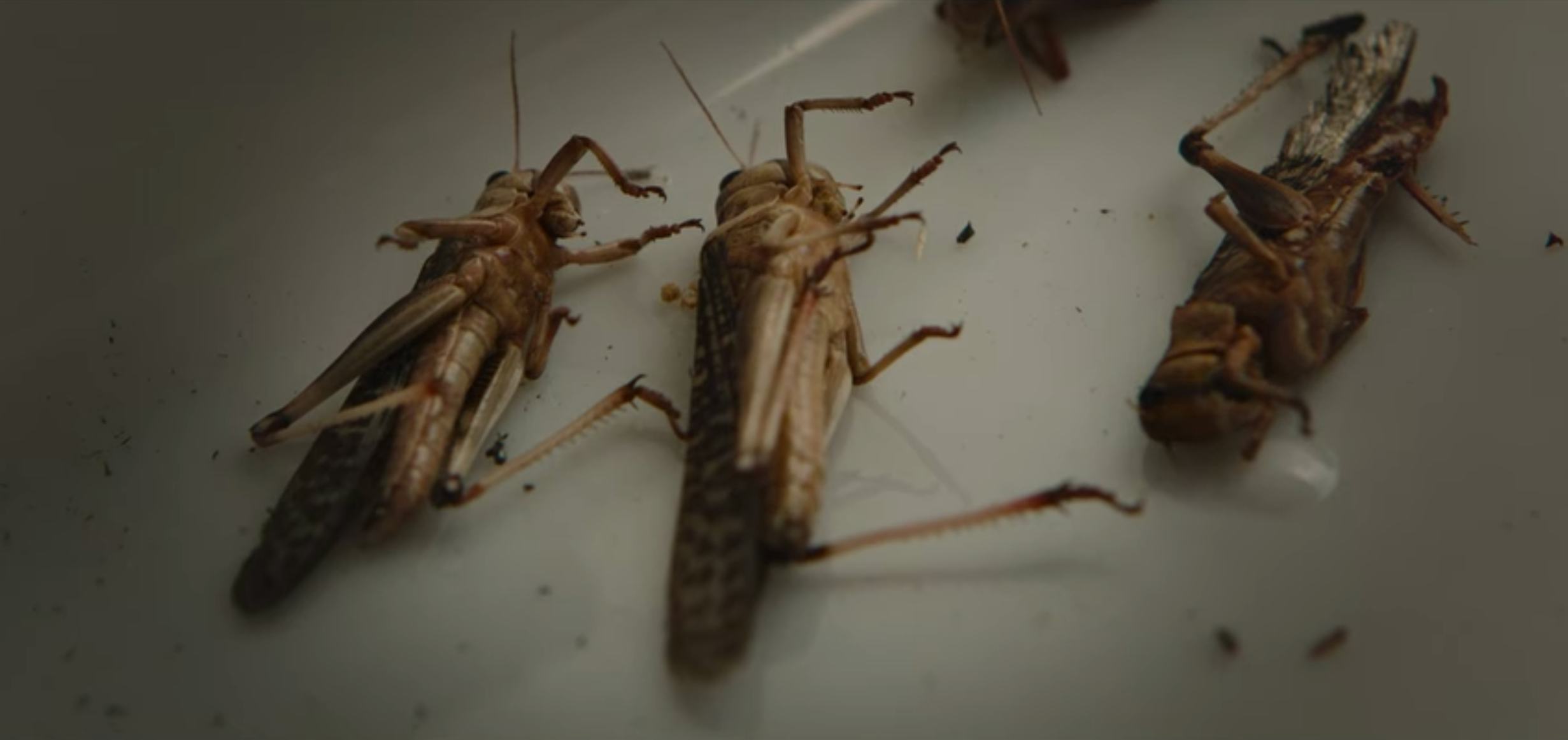 Netflix’s bloodiest scifi thriller of 2021 reveals a…